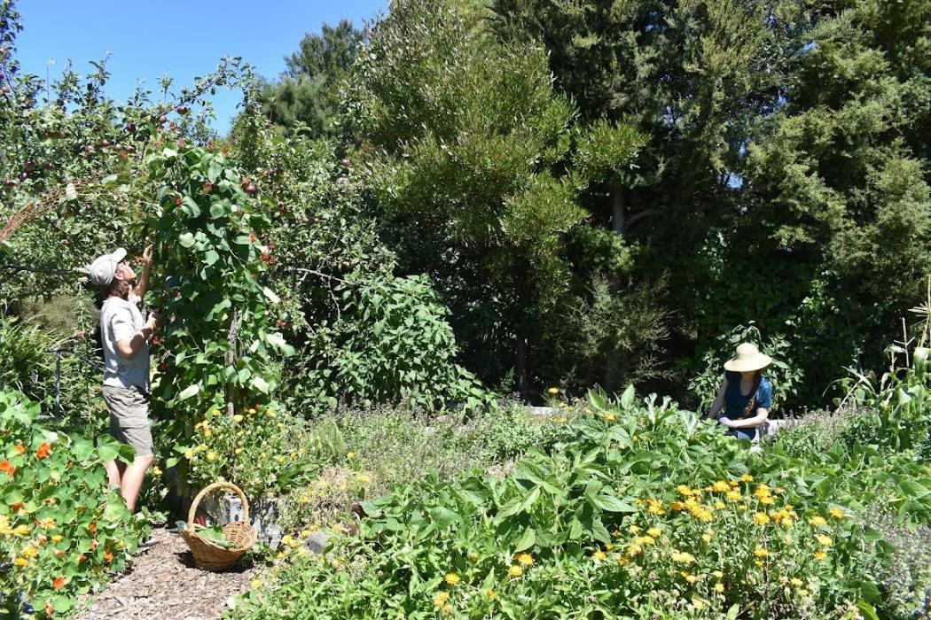 Waiutuutu Community Garden