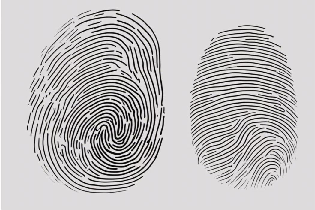 Finger Print