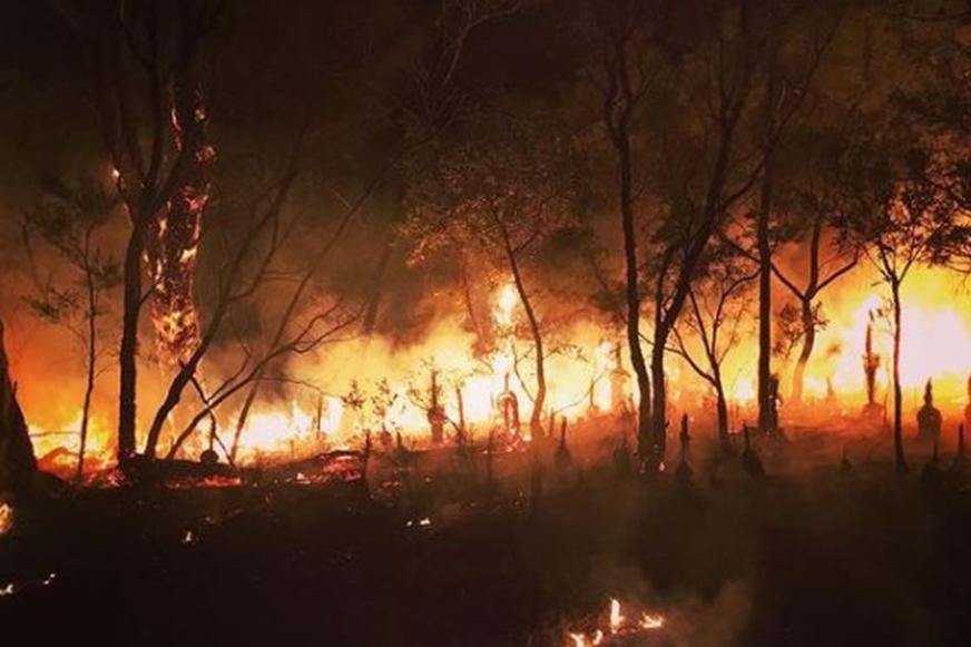 Credit: Erin Atkinson, Queensland Parks and Wildlife Service