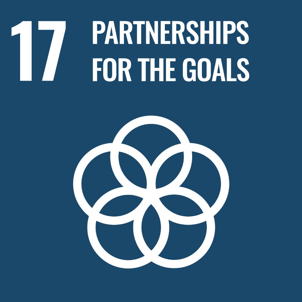 Sustainable Development Goal (SDG) 17 - Partnerships for the Goals 