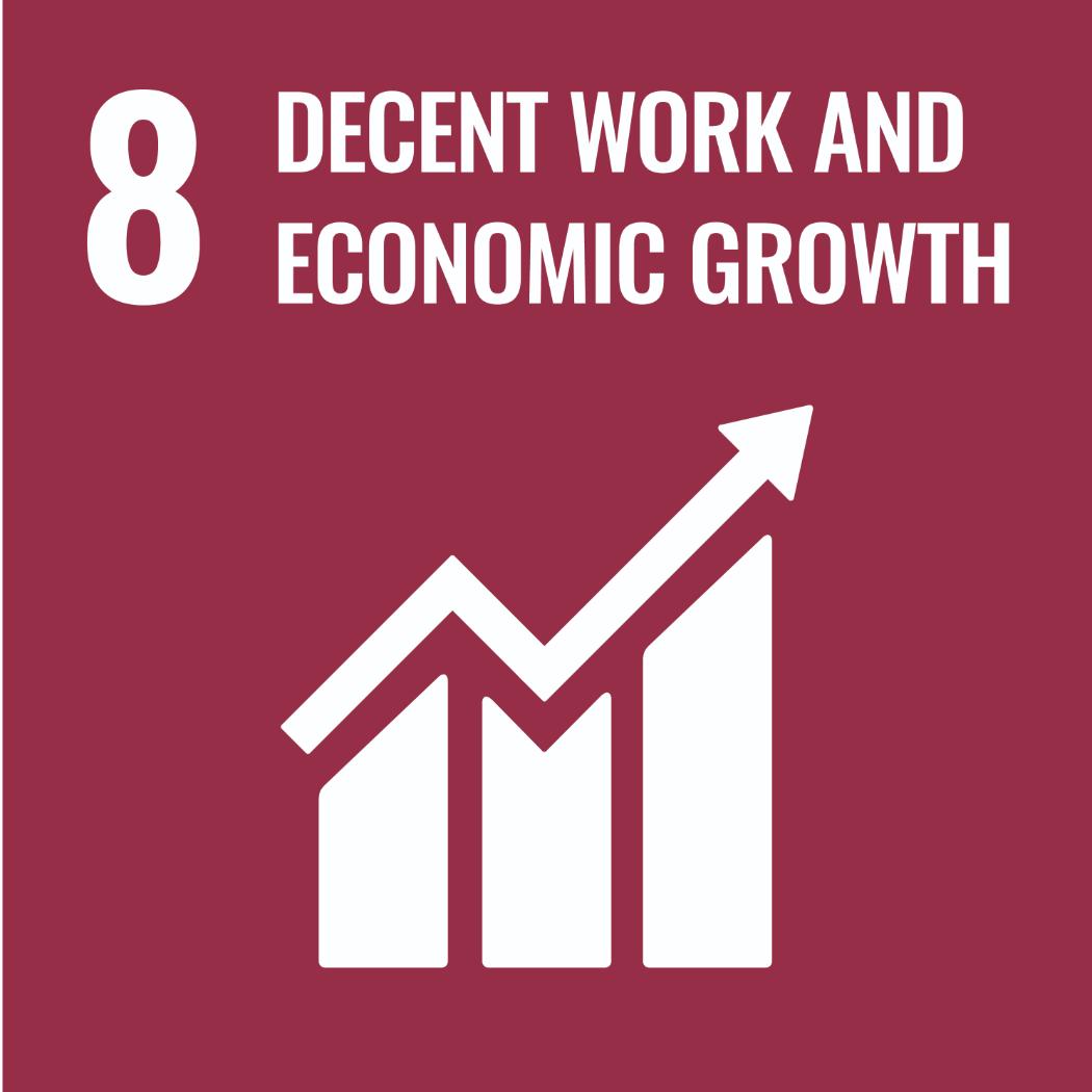 SDG 8