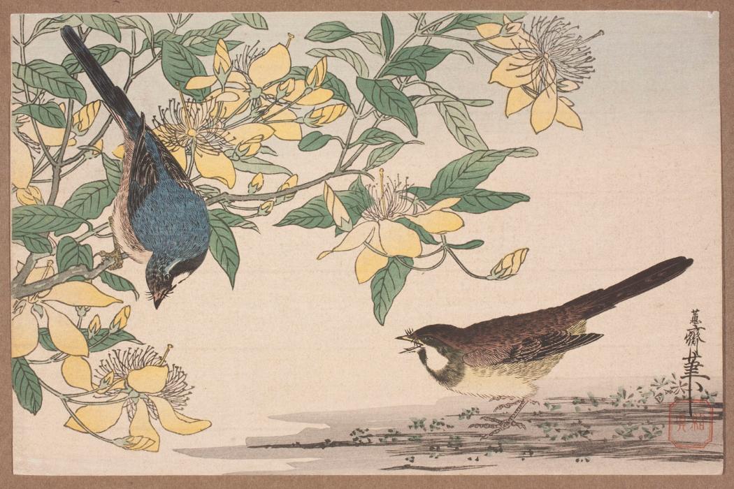 <img src="https://www.canterbury.ac.nz/library/uc-library-news/archive/2020/1600379731347_image-of-the-week-21-sep-2020-orig.jpg" alt="image of the week 21 sep 2020" style=" " class="img-responsive main-content-image">