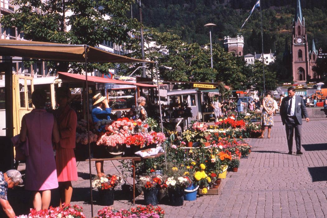 <img src="https://www.canterbury.ac.nz/library/uc-library-news/archive/2020/1506991956977_Flower-market-library-image-of-the-week-low.jpg" alt="Flower market library image of the week" style=" " class="img-responsive main-content-image">