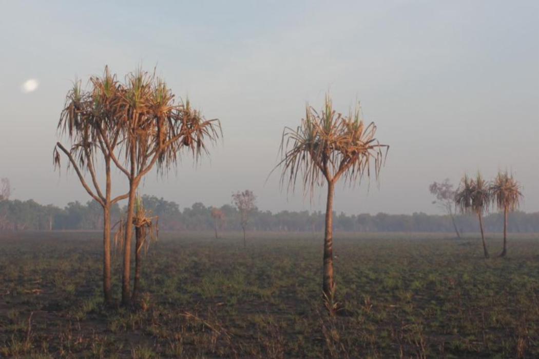 Magela Creek Floodplain