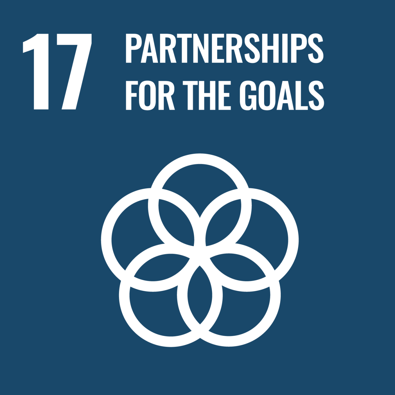 Sustainable Development Goal (SDG) 17 - Partnerships for the goals 