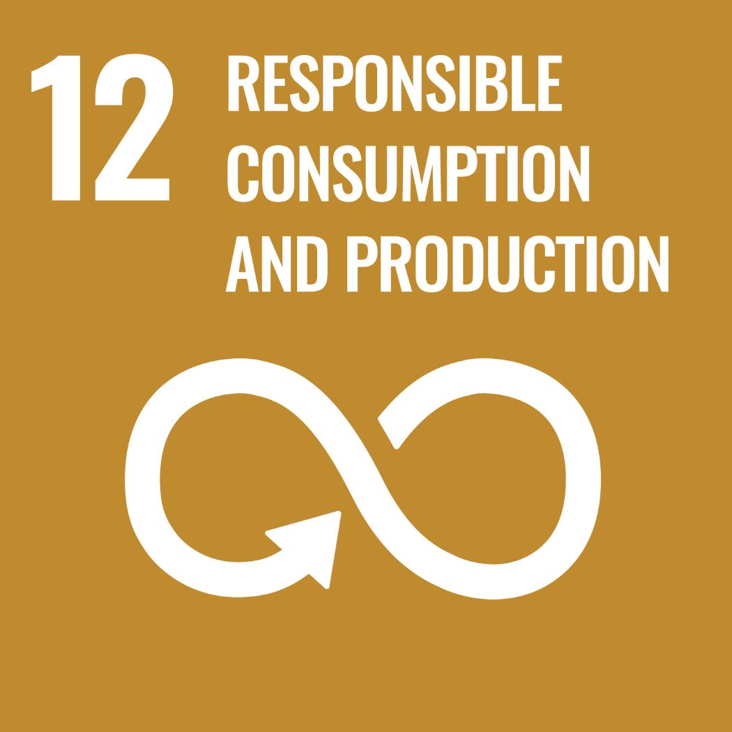 SDG 12 Responsible Consumption and Production