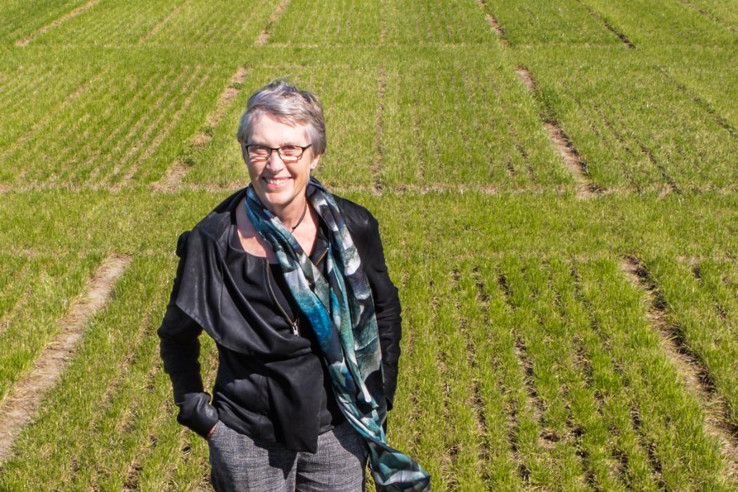 The University of Canterbury (UC) scientist Professor Emerita Paula Jameson was awarded the 2019 Marsden Medal by the New Zealand Association of Scientists at its recent awards dinner.