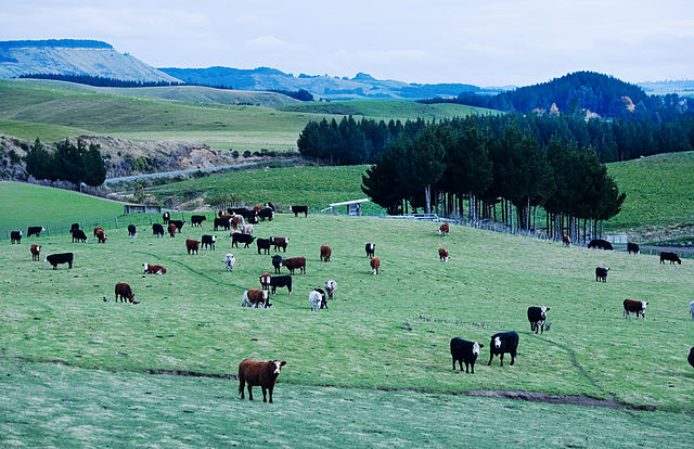 Foot Mouth Landscape - Biosecurity Innovations News