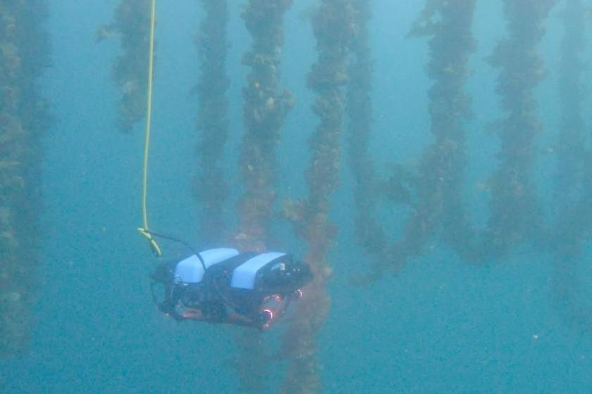 Underwater Drone