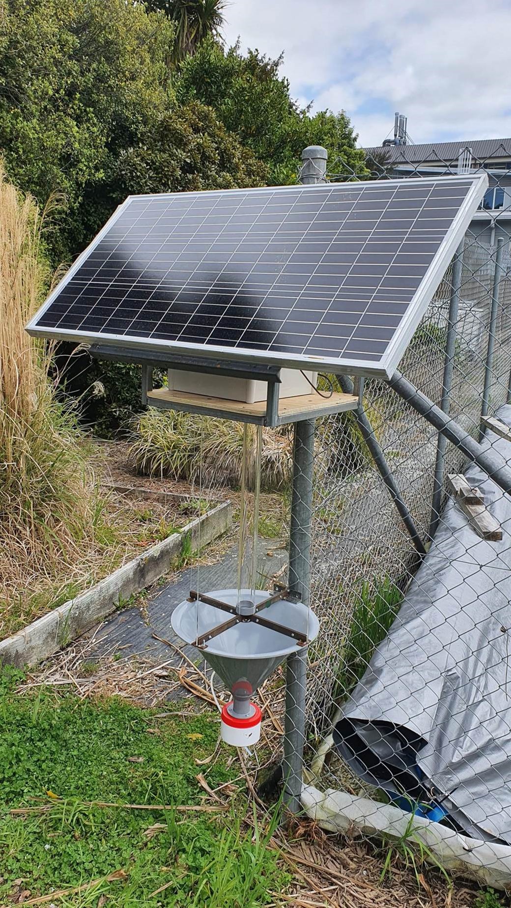Insect Trap