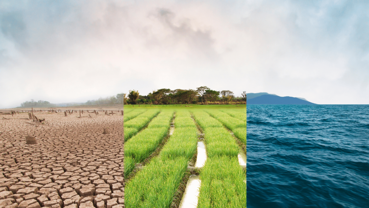Untitled (1584 x 396 px) (1920 x 1080 px) - 4 Resilience and climate Risks