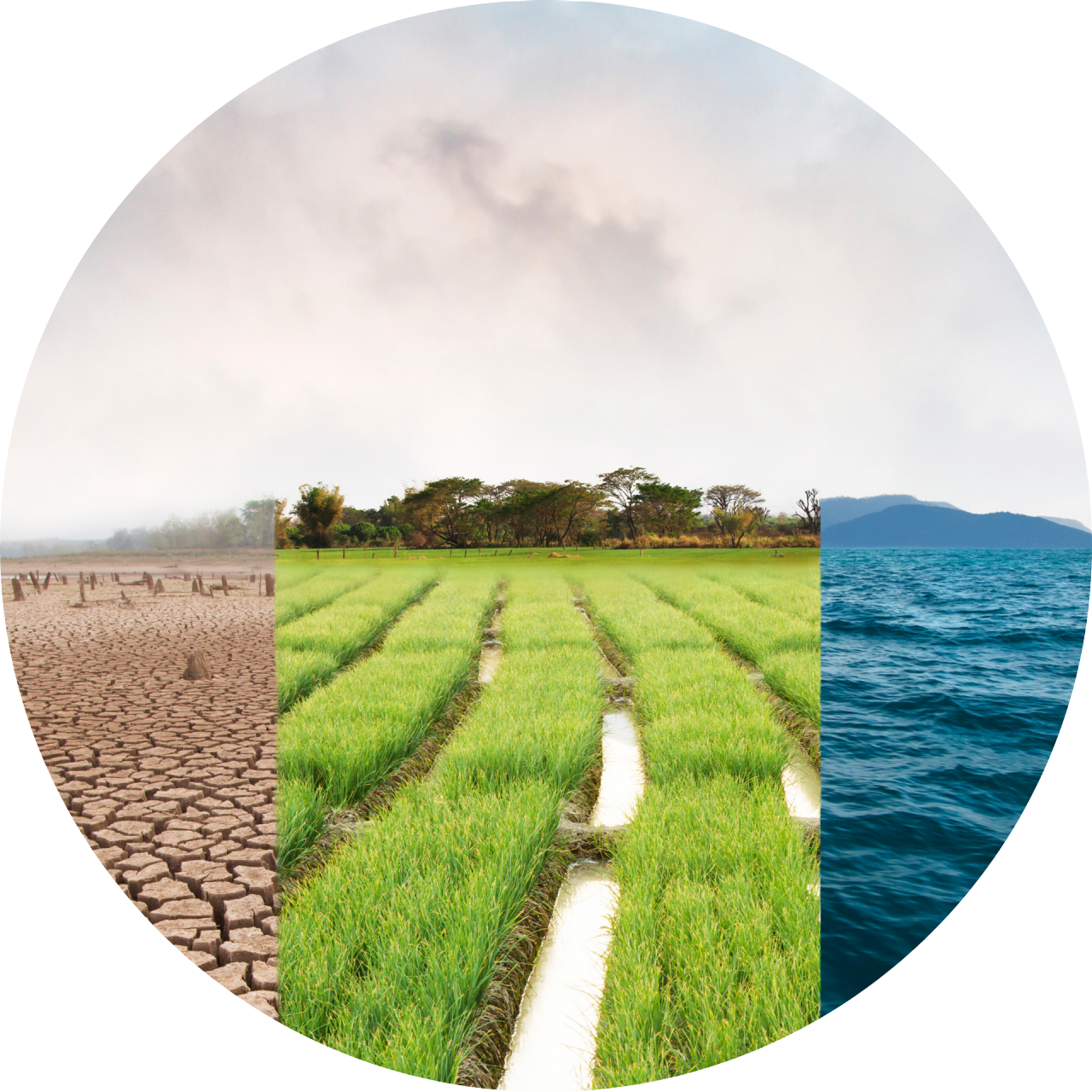 Resilience and climate Risks