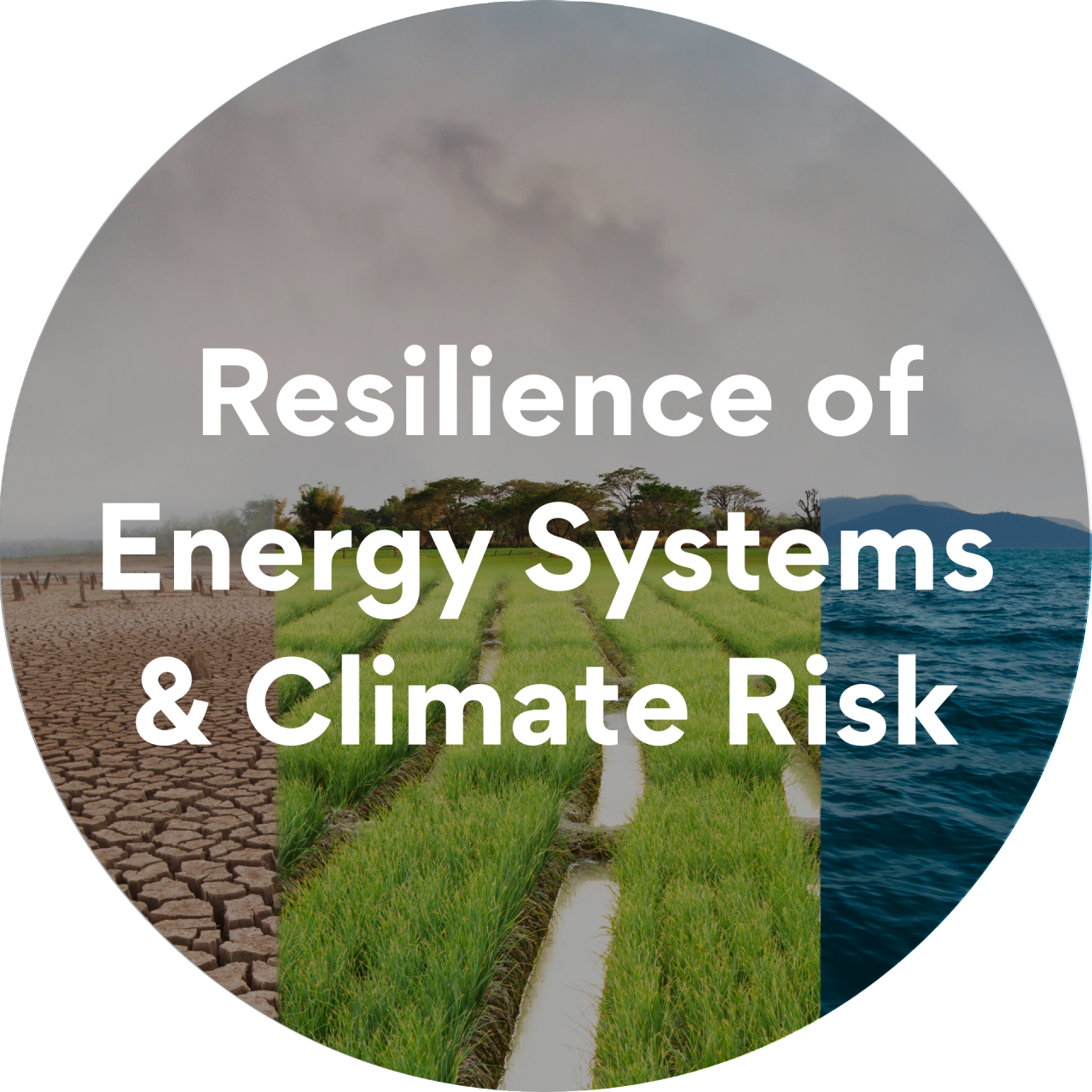 Resilience and climate Risks