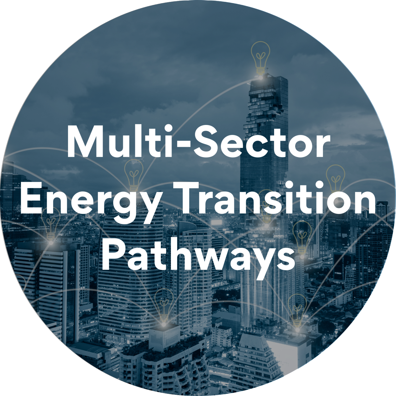 Multi-Sector Energy Transition Pathways - 5