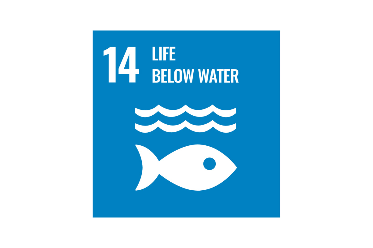 Graphic of fish underwater with a heading reading "number fourteen, life below water".