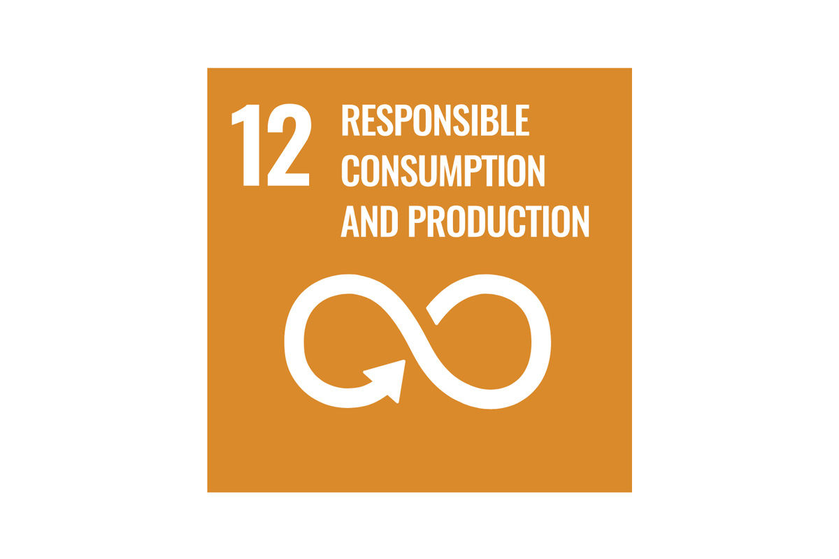 Graphic of an infinity arrow with a heading reading "number twelve, responsible consumption and production".