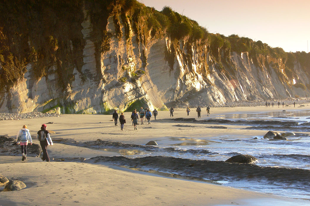 Group of people walking along a coastal beach during sunset, next to a large grassy cliffface.