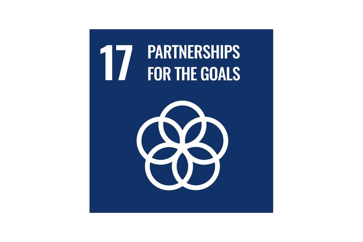 Graphic of intertwined circles with a heading reading "number seventeen, partnerships for the goals".