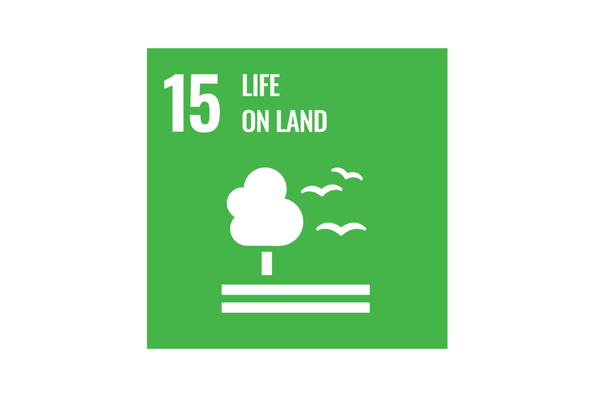 Graphic of a tree and birds flying around it with a heading reading "number fifteen, life on land".