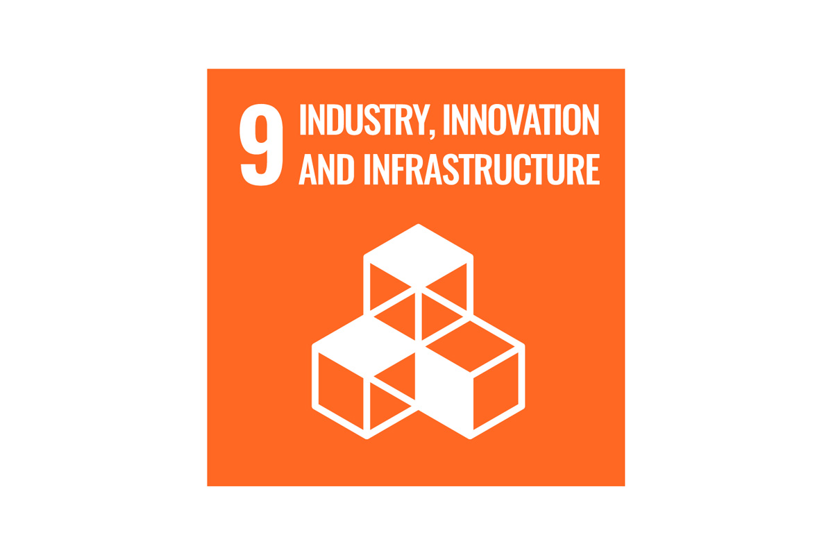 Graphic of three building blocks with a heading reading "number nine, industry, innovation and infrastructure".