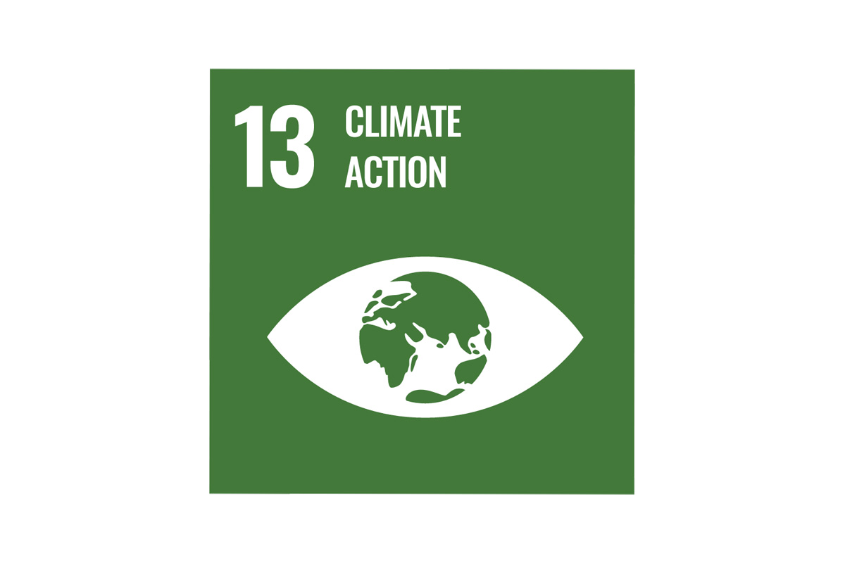 Graphic of an eye with the pupil as a globe with a heading reading "number thirteen, climate action".