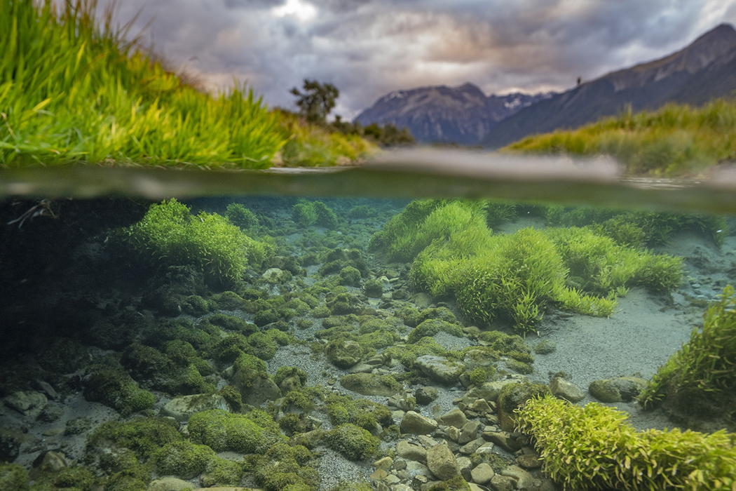 Cross section showing rocks and plants below water and grass and mountains with a stormy sky above the water