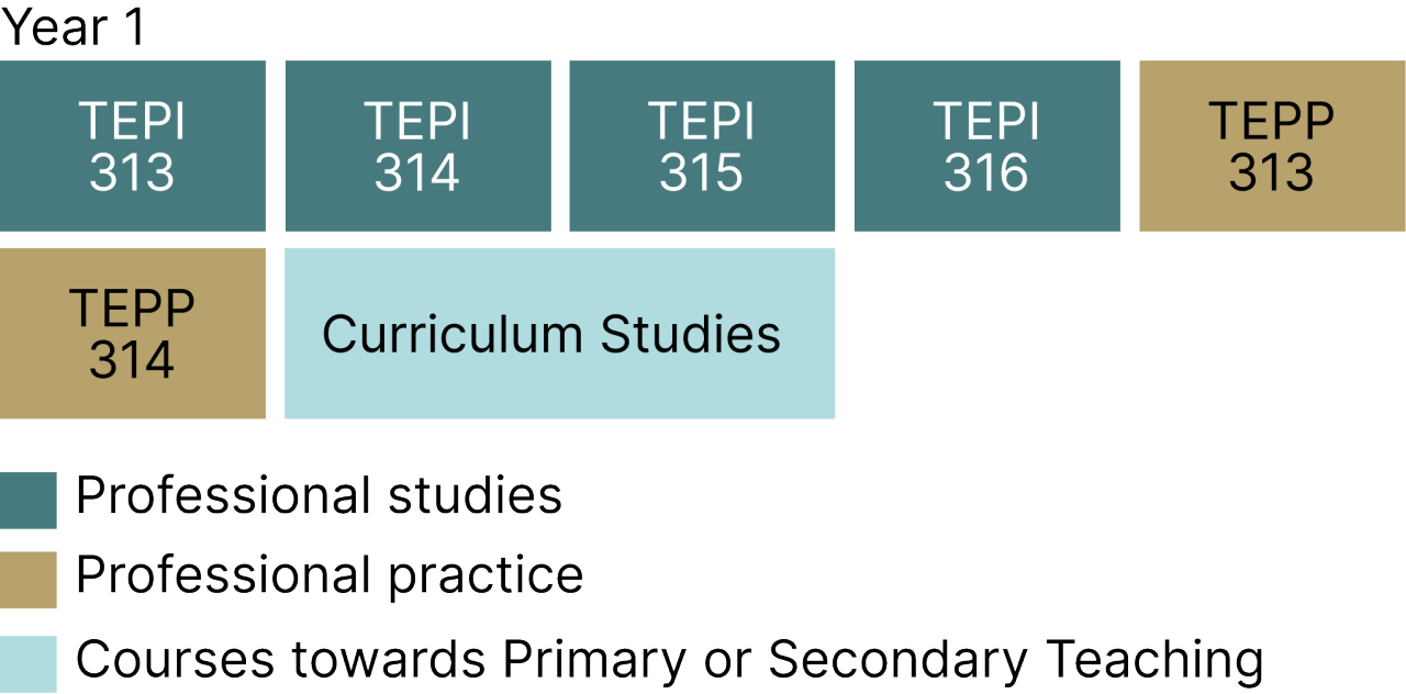 Graduate Diploma in Teaching and Learning