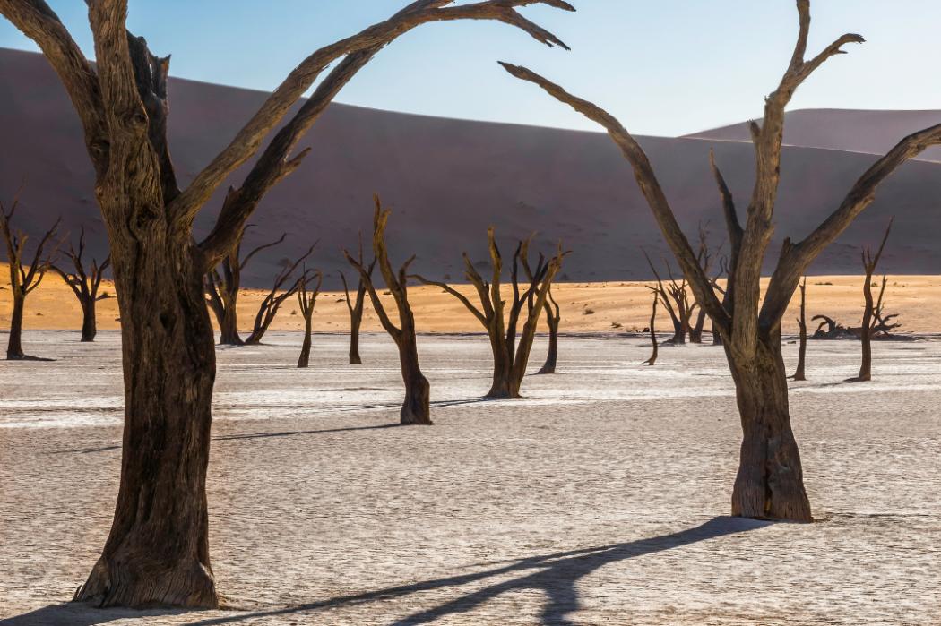 2022 Earth Science and Climatology category winner: Africa - Hugh Benson