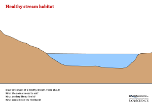 Healthy Stream Habitat