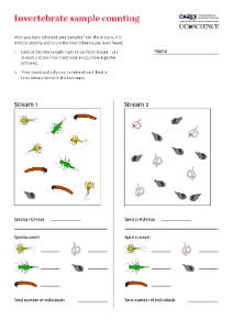 Invertebrate Sampling