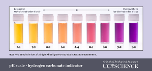pH Scale