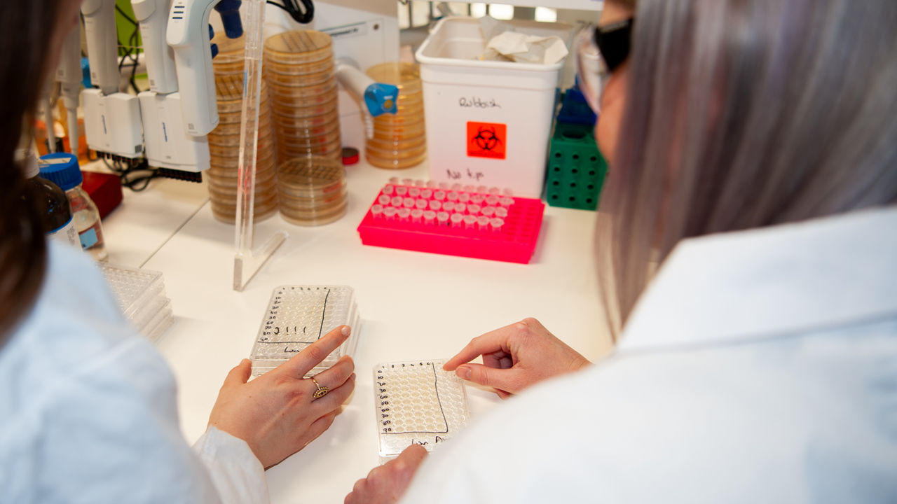Students at a laboratory bench