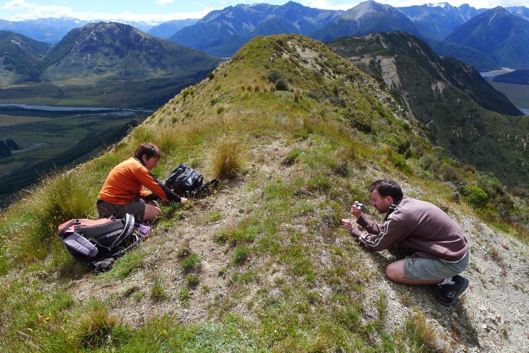 Biology students field research