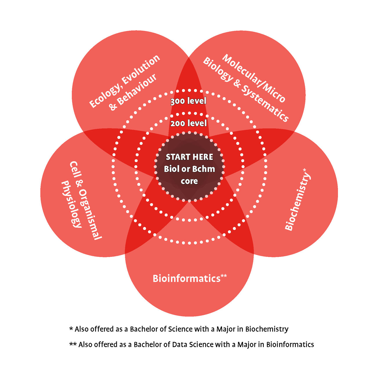 Diagram showing overlap of biology undergraduate themes