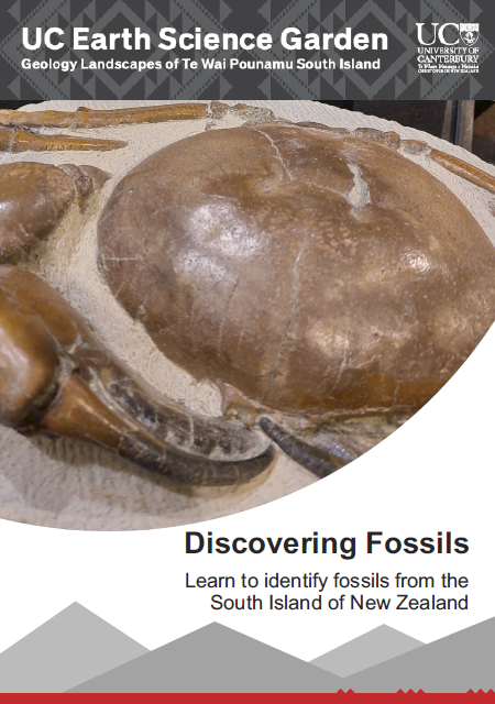 Cover image of Discovering Fossils Lesson Plan document