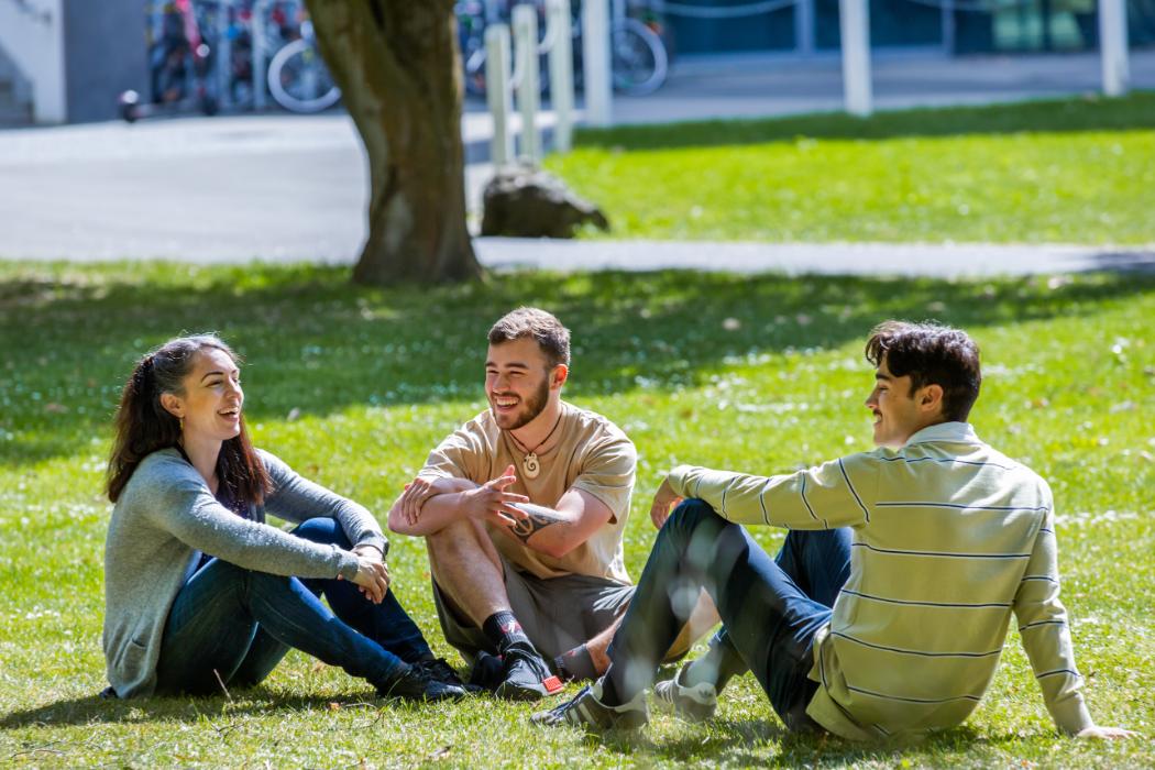 Study Transition programmes