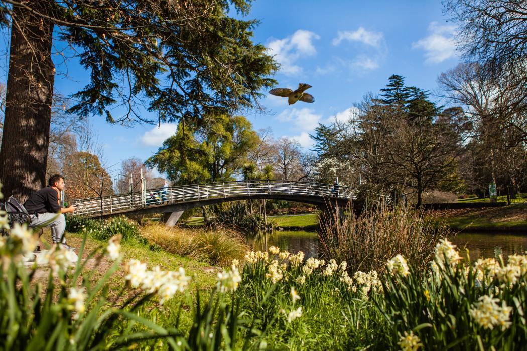 christchurchnz-uc