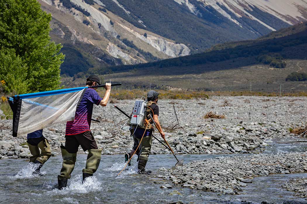 UC students out in a freshwater river during an Ecology Summer School field trip.